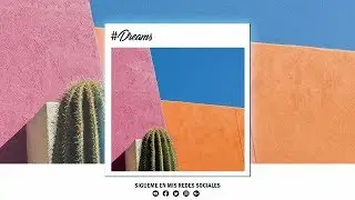 Mc Bprice - Dreams | Audio Oficial