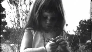 1964 Daisy Ad