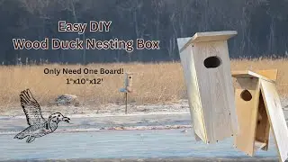 DIY Wood Duck Nesting Box | 1 Pine Board