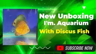 New Unboxing with Discus Fish For aquarium. @FishCareRewa @DhaniLif