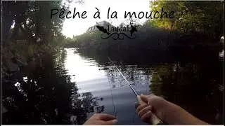 Coup du soir &agrave; la mouche