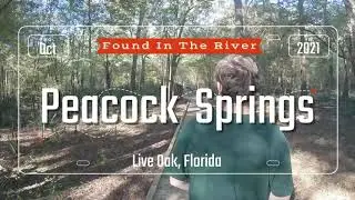 Peacock Springs Cave Dive