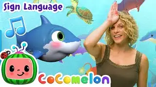 Baby Shark | CoComelon with ASL | 🖐️ Sign Language for Babies 🖐️