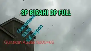 SP BIRAHI DEWA PERANG||FULL RESPON DIJAMIN BIKIN ONAR