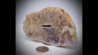 Graveyard Point, Idaho, Polished Plume Agate Half