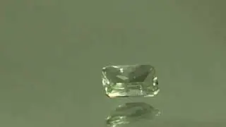 V1976.MP4