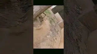 fpv drone flying fast and low #quadcopter #fpvamazing #fpv #drone #uav #fpvworld