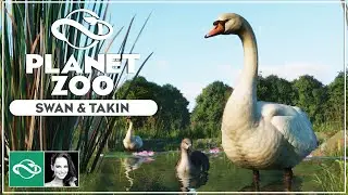 ▶ Mute Swan & Takin | Planet Zoo Eurasia Animal Pack DLC Screenshots