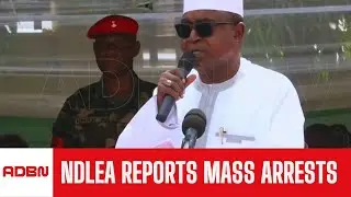 NDLEA Arrests 77,792 Suspects In Five Years