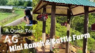 AG Mini Ranch and Cattle Farm: A Quick Tour