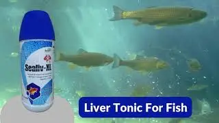 SEALIV XL - Liver Tonic For Fishes | Aqua Feed Supplement