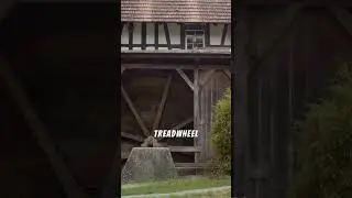 Treadwheel Crane Explained... 🛞👣🏗️⚙️ #explained#history#facts #woodwork#carpenter#fyp#sub #comment