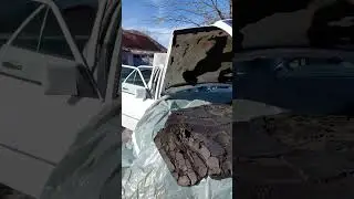 W124 hood insulation
