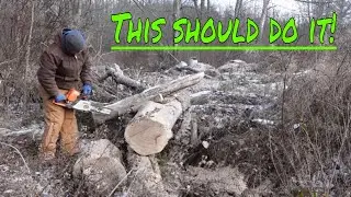 Collecting FIREWOOD!