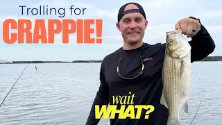 When Crappie Say NO, Catfish Say YES! - Thomas Hill Lake Trolling