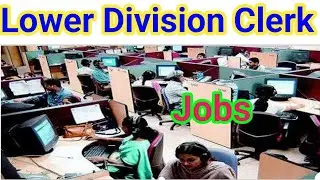 lower division clerk vacancy 2024 । लोअर डिविजनल क्लर्क टाइपिस्ट भर्ती