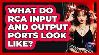 What Do RCA Input And Output Ports Look Like?