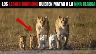 2 LEONAS MADRES Defienden a sus CACHORROS BLANCOS RAROS Contra 3 LEONES MACHOS | Historia Real