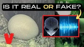 LEAKED Audio of an Alleged Alien Recording