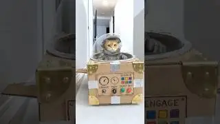Save the Baby Brother! Cat's Epic Rescue Mission🚀
