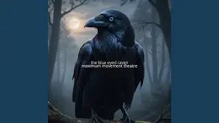 the blue eyed raven