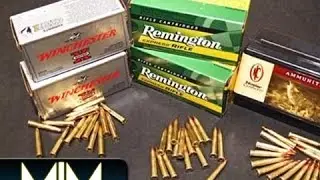 .22 Hornet ammo comparison part 2