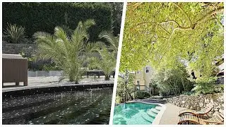 75 Kidney-shaped Pool With Decking Design Ideas You'll Love 😊