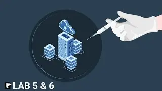 LISTING DATABASE CONTENT IN ORACLE AND NON-ORACLE DATABASES USING SQLi PORTSWIGGER LAB 5&6