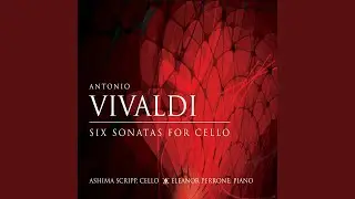 Sonata No. 5 in E Minor, RV 40: II. Allegro