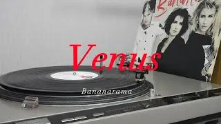 Bananarama - Venus (HQ Vinyl Rip) 1986