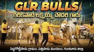 🚩5/2/2026నాదెండ్ల సబ్ జూనియర్స్ 7జత GLR BULLS గోనెగండ్ల గాయత్రి గారు