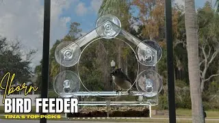 Iborn Window Bird Feeder Outdoor Setup And Use