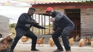 Wode Maya Inspired Me To Leave UK To Zimbabwe To Make Poultry #wodemaya #africa #zimbabwe #farming