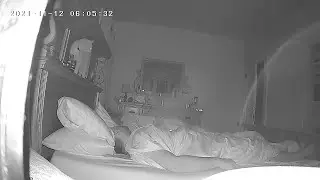 Cat Gives Guy Wet Wake Up Call || ViralHog