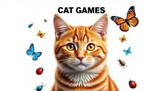 Cat Games  Best Mouse & Bug Chase Compilation Vol 12  4K, 60 fps 🐭