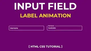 CSS Input Field Label Animation | CSS Only Floating Label