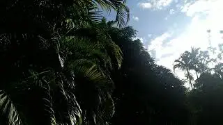 Sitio de 13.000m2 à venda em Guaratiba -RJ