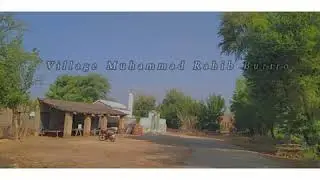 My Village  (Village Muhammad Rahib Buriro) beautiful views , Explore Beautiful Sindh