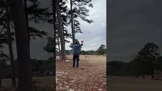 Disc Golf FAILS January 2026 part 1