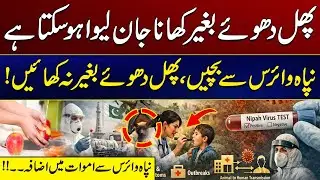 Nipah Virus Spreading | Pakistan Issues Early Warning and Safety Measures | City 41