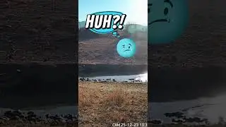 Hyena&rsquo;s Confusing Behavior Caught on Camera | Strange Animal Moments #Shorts