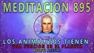 🚩MEDITACION 895🟢LOS ANIMALITOS TIENEN UNA FUNCION EN ESTE PLANETA💕❗03/11/17💥ALIESTRO💖