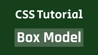 CSS Tutorial | CSS Box Model [Bangla]