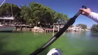 Stand up paddle boarding SUP in Key Largo