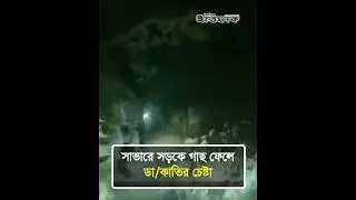 সাভারে সড়কে গাছ ফেলে ডা/কাতির চেষ্টা #savar #robbery #dailyittefaq