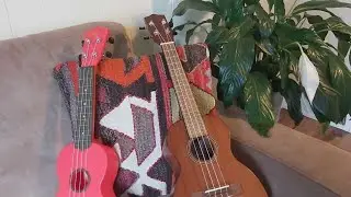 PGPL Ukulele Jam - February 2022