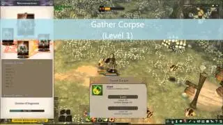 Tree of Savior - Necromancer skill demonstration icbt2