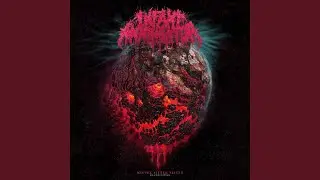 Horizons of Flesh