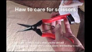 How to care for scissors