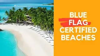Blue Flag Beaches in India - Blue Flag Certification